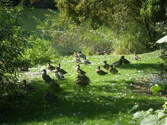 PARKLANDS, Santry, Dublin 9