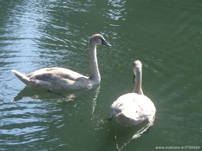 PARKLANDS, Santry, Dublin 9