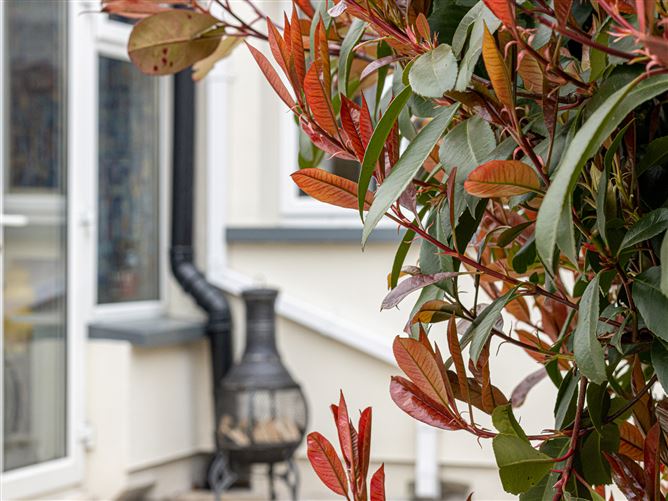 24 The Park, Liffey Hall, Newbridge, Kildare