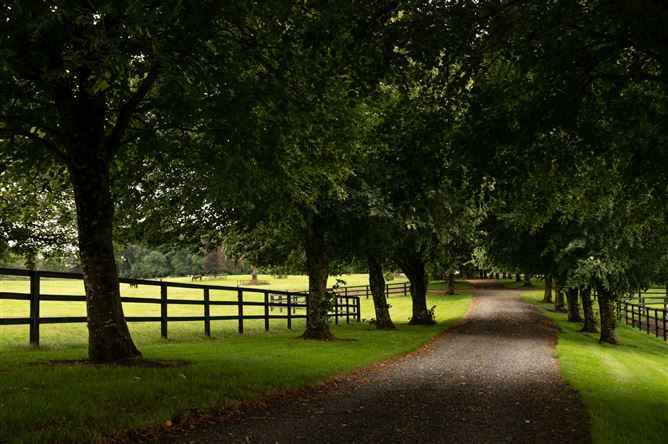 Triermore House and Stud Farm, Fordstown, Navan, County Meath