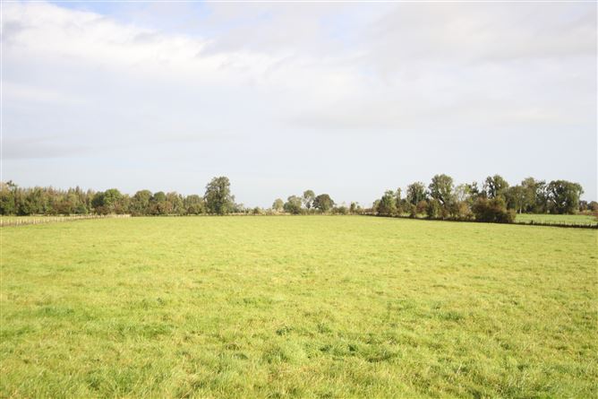 Monivea Demesne, Monivea, Athenry, Co. Galway