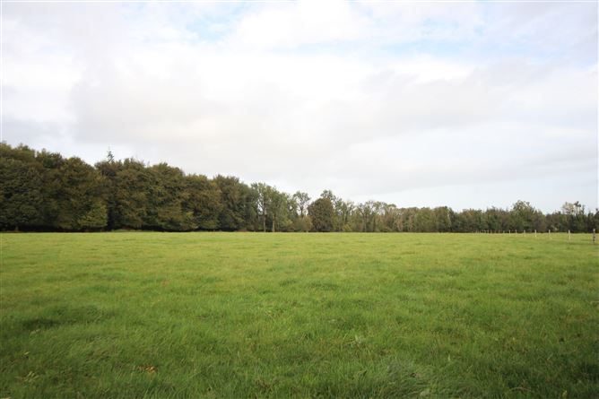 Monivea Demesne, Monivea, Athenry, Co. Galway