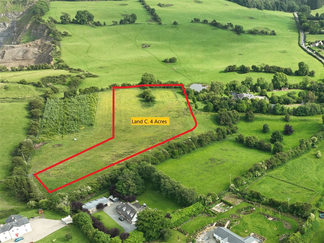 Land C. 4 Acres, Eadestown, Naas, Kildare