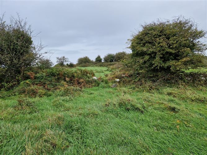 Castlebarnagh, Midfield, Swinford, Co. Mayo