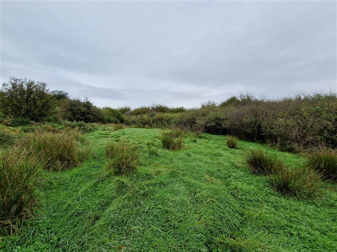 Castlebarnagh, Midfield, Swinford, Co. Mayo