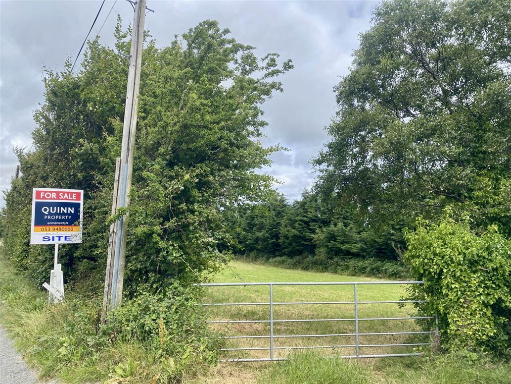 Ballinteskin (C. 0.75 Acre Site), Old Long Hill, Enniskerry, County Wicklow