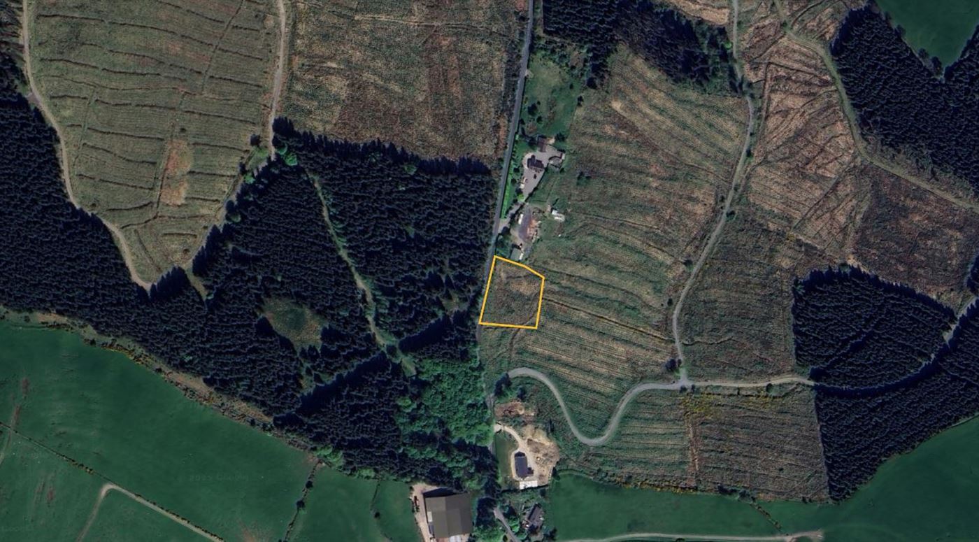 Fauna, Donard, Wicklow