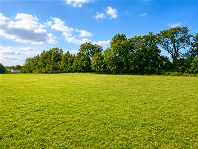 c. 15.36 Acres, Newtown, Shanacloon Lane, Kildare Town, Kildare