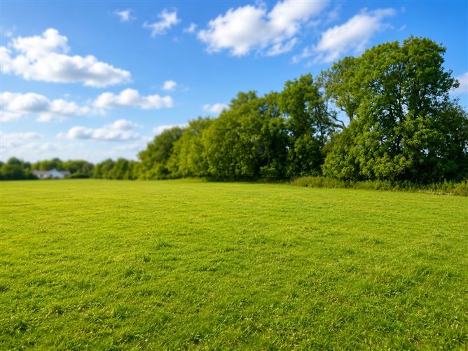 c. 15.36 Acres, Newtown, Shanacloon Lane, Kildare Town, Kildare