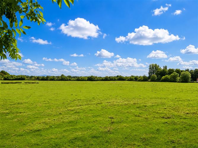 c. 15.36 Acres, Newtown, Shanacloon Lane, Kildare Town, Kildare