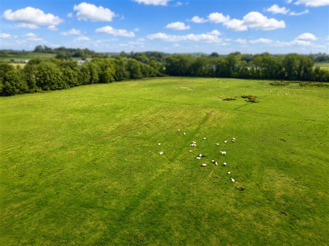 c. 15.36 Acres, Newtown, Shanacloon Lane, Kildare Town, Kildare