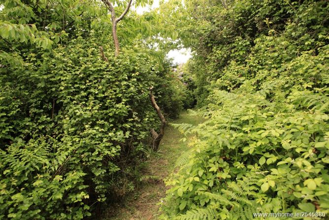 "Ardeevin", Carrickbrack Road,, Howth,   North County Dublin