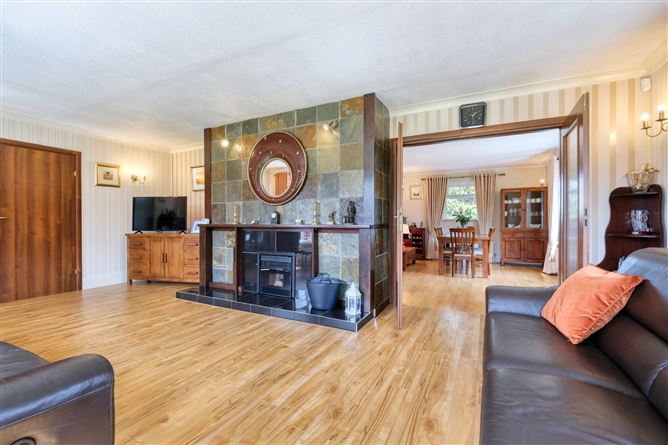 Dublin Road, Knockahaw, Longford