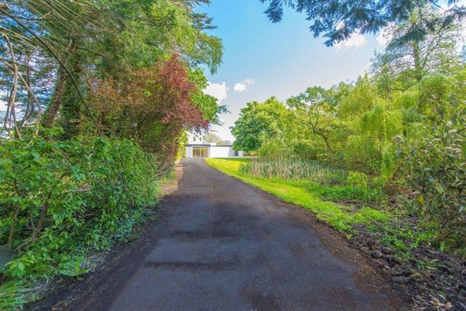 Chestnut Lane, Dangan, Galway