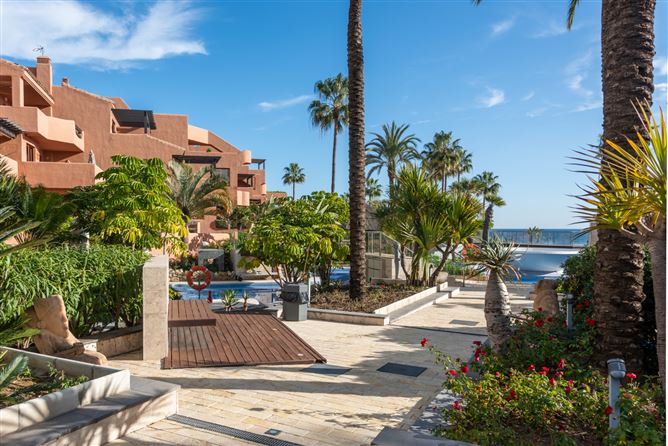 Spain, Estepona, - COSTA-01087P