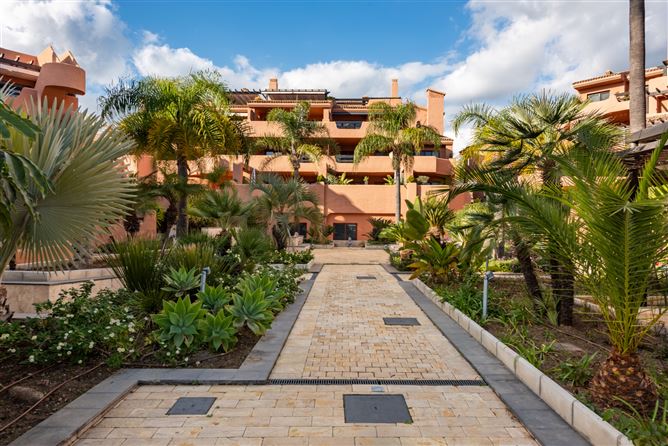Spain, Estepona, - COSTA-01087P