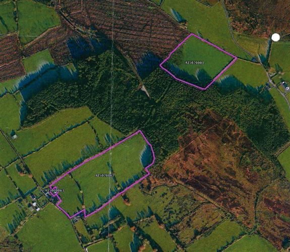 Rathnagrew, Hacketstown, Carlow