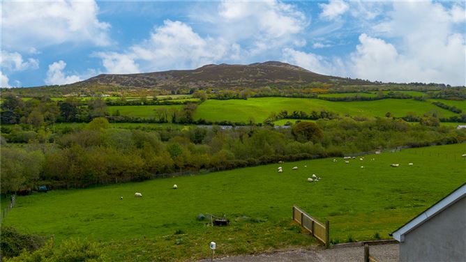 Wishing Field, Quill Road, Kilmacanogue, Co. Wicklow