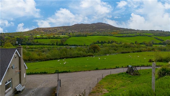 Wishing Field, Quill Road, Kilmacanogue, Co. Wicklow
