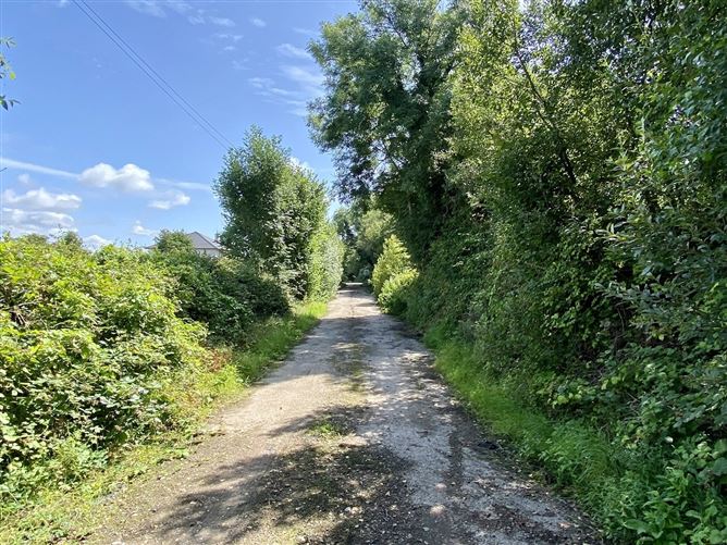 Attyshonock, Bushypark, Co. Galway DNG Martin O'Connor Auctioneers