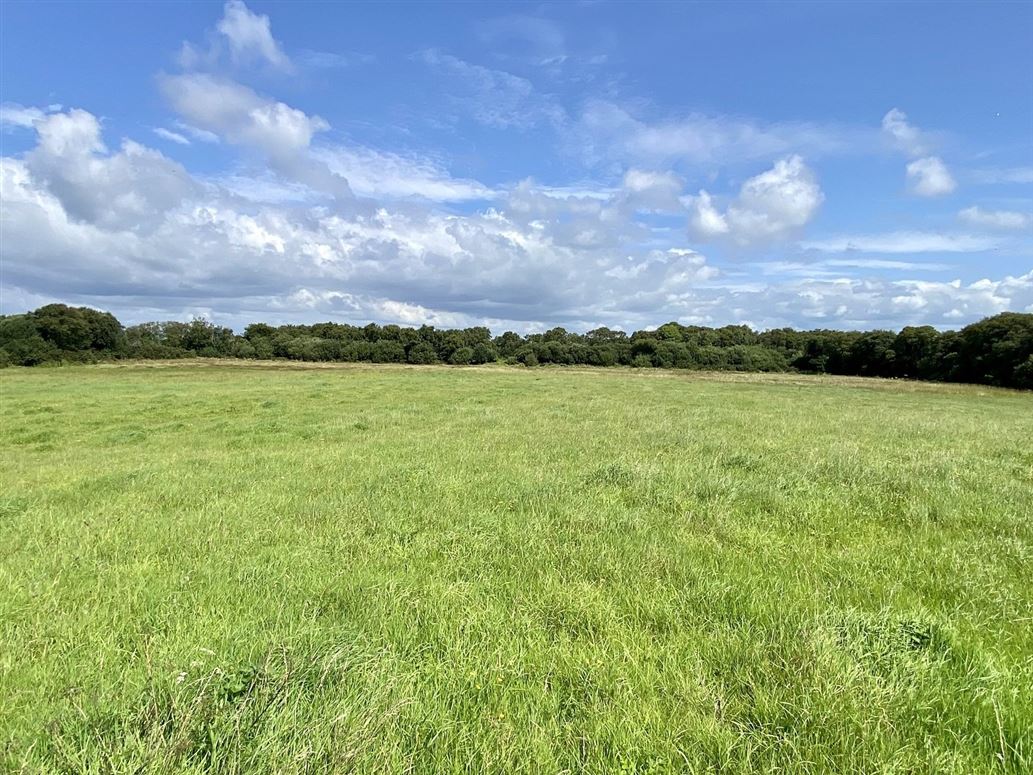 Attyshonock, Bushypark, Co. Galway DNG Martin O'Connor Auctioneers