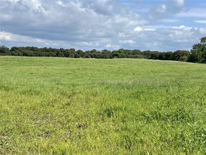 Attyshonock, Bushypark, Co. Galway DNG Martin O'Connor Auctioneers