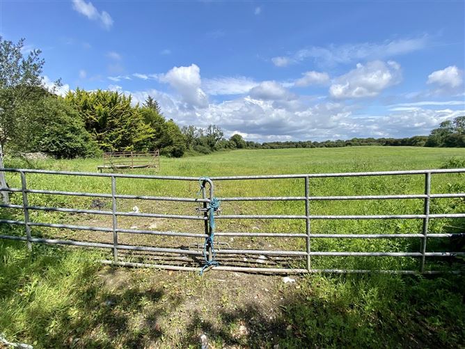 Attyshonock, Bushypark, Co. Galway DNG Martin O'Connor Auctioneers