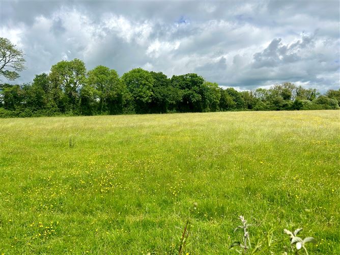 12 Acres, Derreens, Caragh, Naas, Kildare