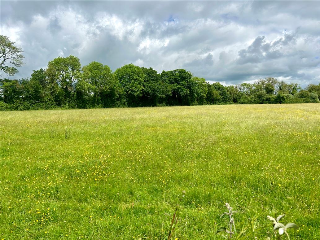 12 Acres, Derreens, Caragh, Naas, Kildare