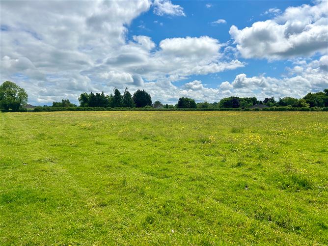 12 Acres, Derreens, Caragh, Naas, Kildare