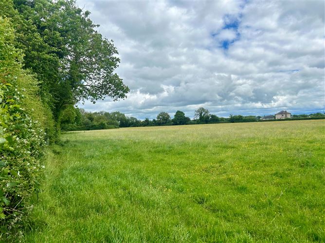 12 Acres, Derreens, Caragh, Naas, Kildare