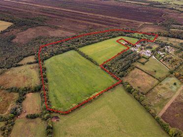 Derrylea, Monasterevin, Co. Kildare