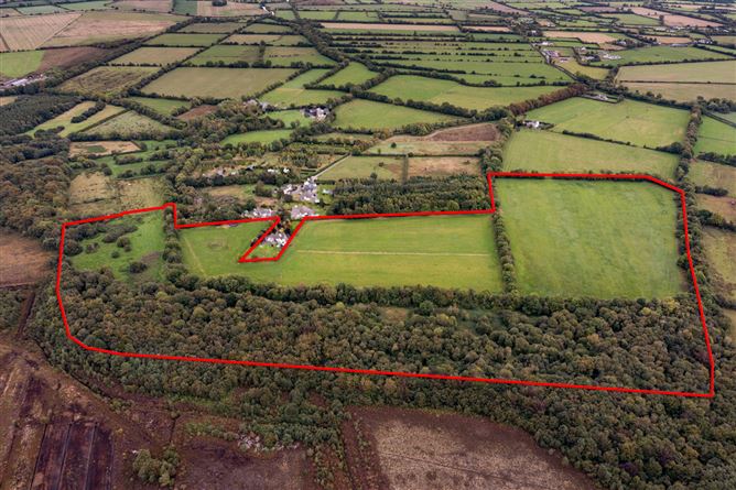 Derrylea, Monasterevin, Co. Kildare