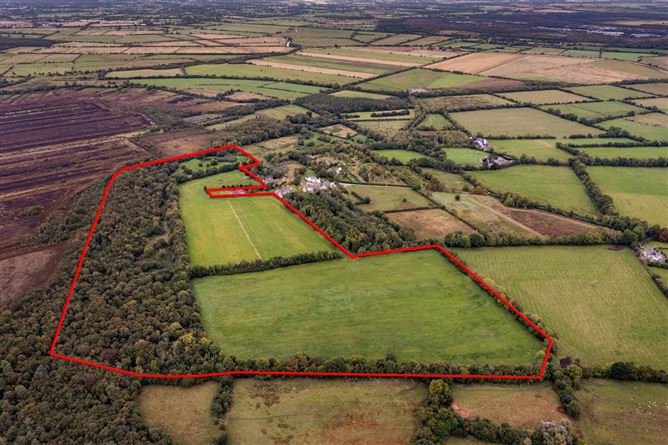 Derrylea, Monasterevin, Co. Kildare
