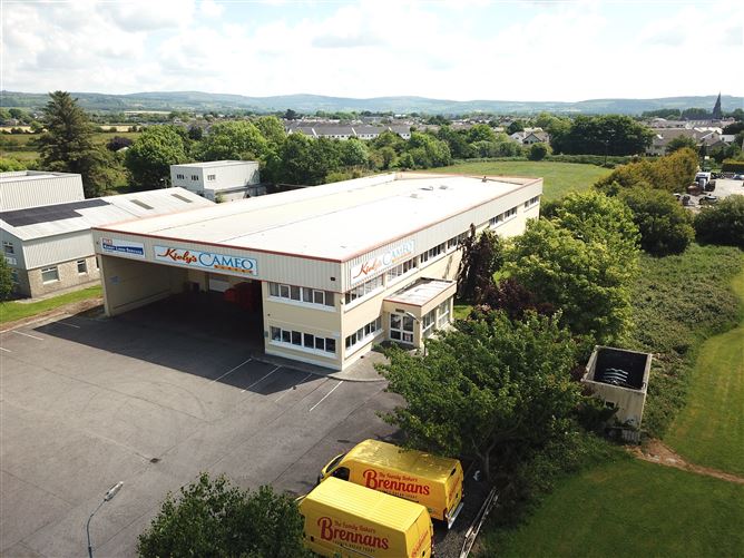 Tralee Road Industrial Estate, Moanmore, Castleisland, Kerry