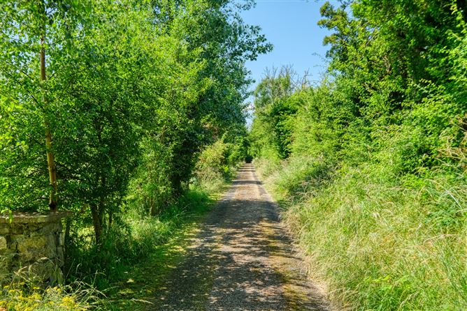 Photo 38 of 44 — Killinbore, Colehill, Co. Longford