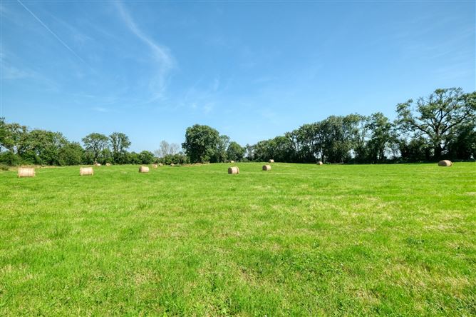 Photo 41 of 44 — Killinbore, Colehill, Co. Longford