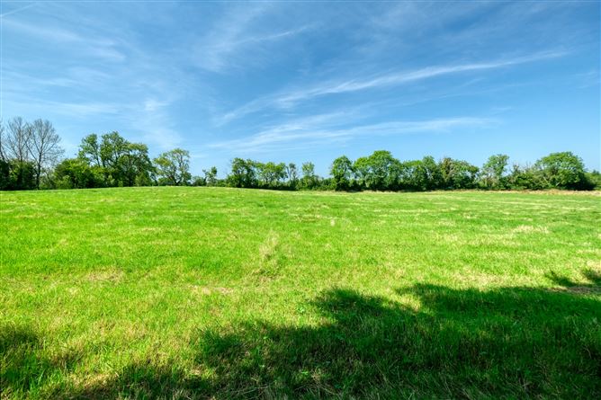 Photo 42 of 44 — Killinbore, Colehill, Co. Longford