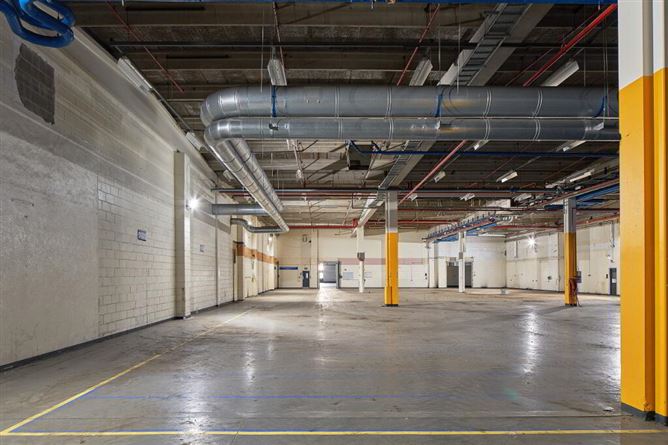 Large Scale Industrial/Manufacturing Facility, (Former BRAUN Factory), O Brien Road, Carlow