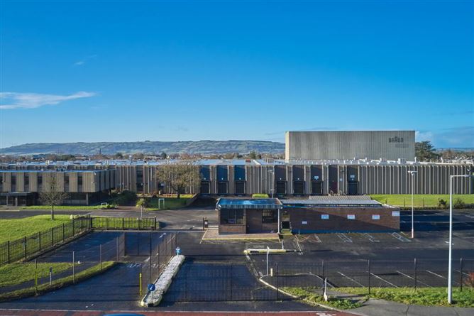 Large Scale Industrial/Manufacturing Facility, (Former BRAUN Factory), O Brien Road, Carlow