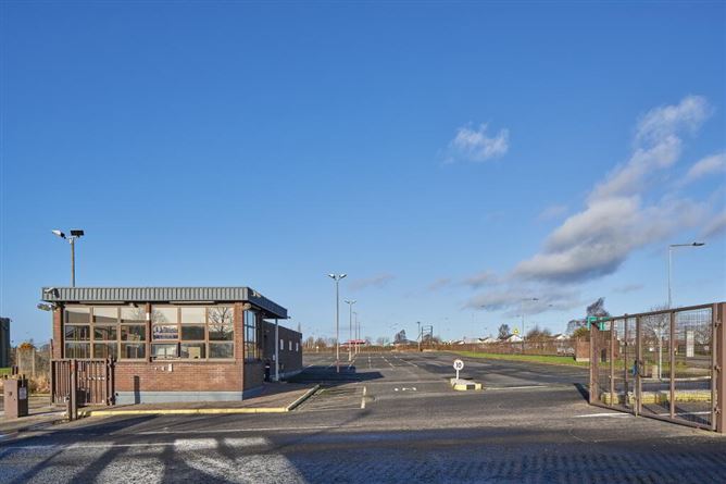 Large Scale Industrial/Manufacturing Facility, (Former BRAUN Factory), O Brien Road, Carlow