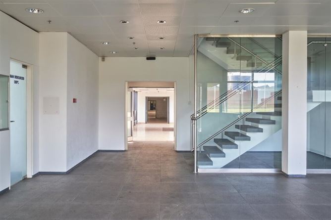 Large Scale Industrial/Manufacturing Facility, (Former BRAUN Factory), O Brien Road, Carlow