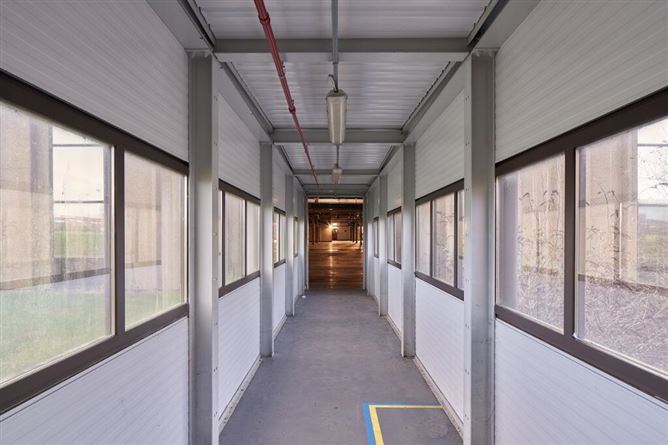 Large Scale Industrial/Manufacturing Facility, (Former BRAUN Factory), O Brien Road, Carlow