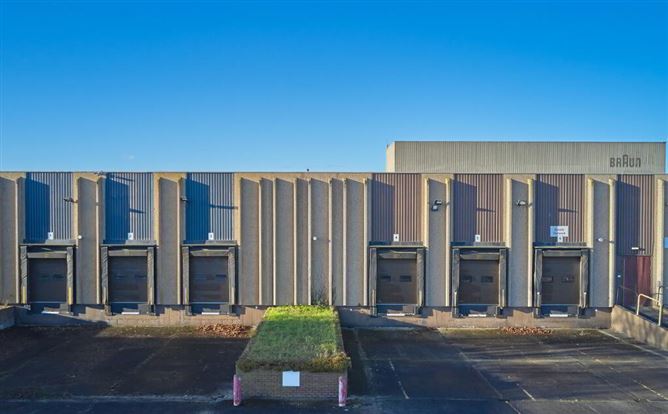 Large Scale Industrial/Manufacturing Facility, (Former BRAUN Factory), O Brien Road, Carlow