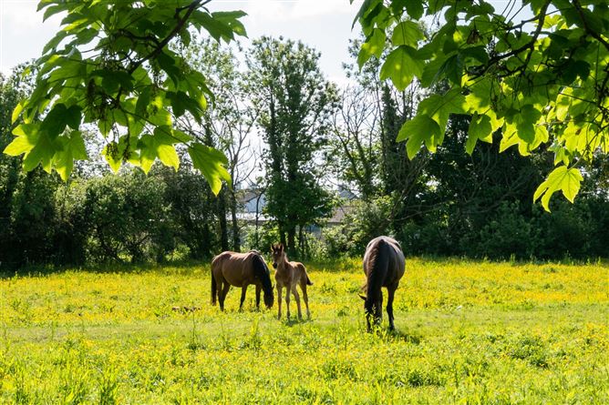 3 Sycamore Drive, Ballycumber, Offaly
