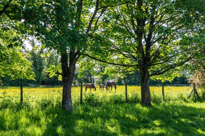 3 Sycamore Drive, Ballycumber, Offaly
