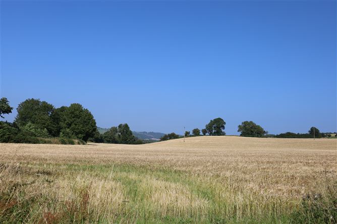 Rae an Mhionnain, Minane Bridge, Cork