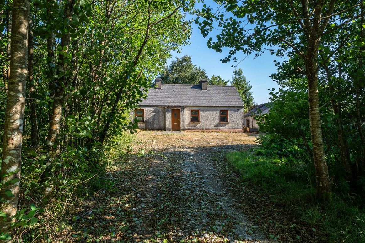 Derrylow, Boyle, Co. Roscommon, RN3682F (For ID)