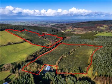 Image for C. 56 Acres of Forestry: Forelacka, Kinnitty, Co. Offaly