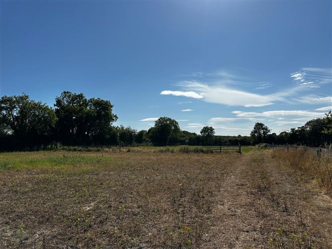 Brownstown, Castleinch, Co. Kilkenny